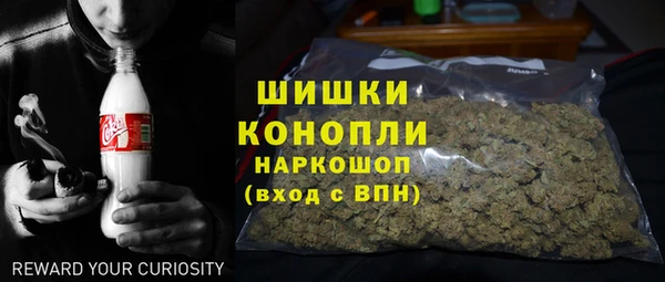 сатива Нефтекумск
