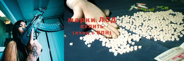 сатива Нефтекумск