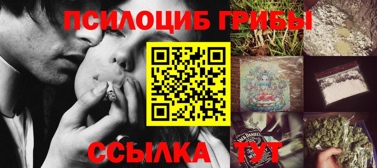 Заводоуковск  Псилоцибиновые грибы мицелий  наркотики  Вход с VPN  Галлюциногенные грибы мухоморы 