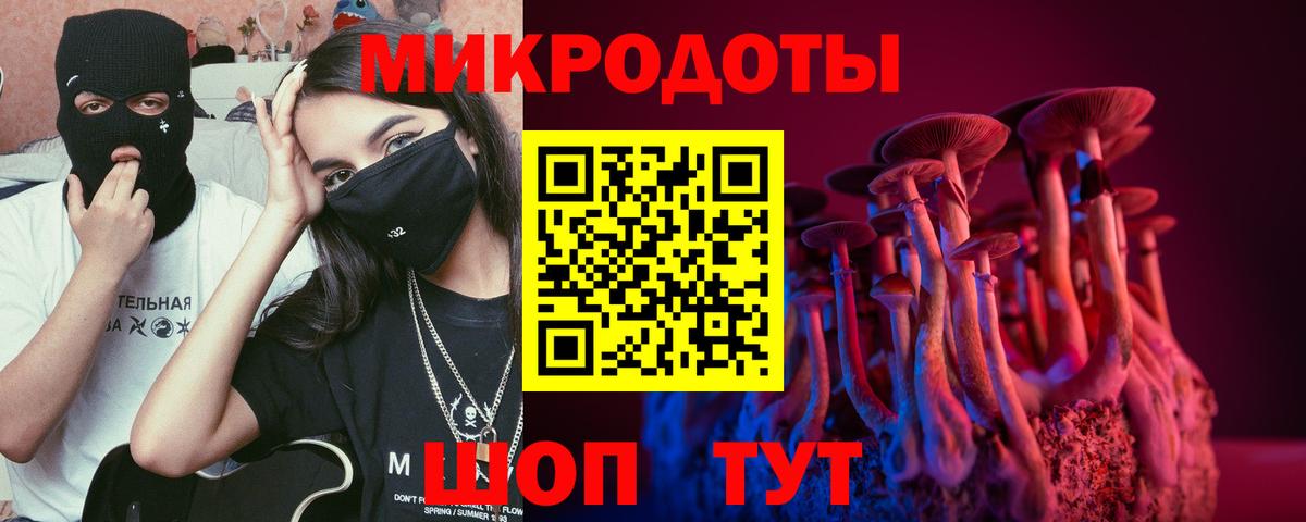 Галлюциногенные грибы прущие грибы Заводоуковск